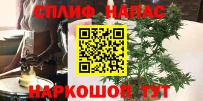 трава Кингисепп