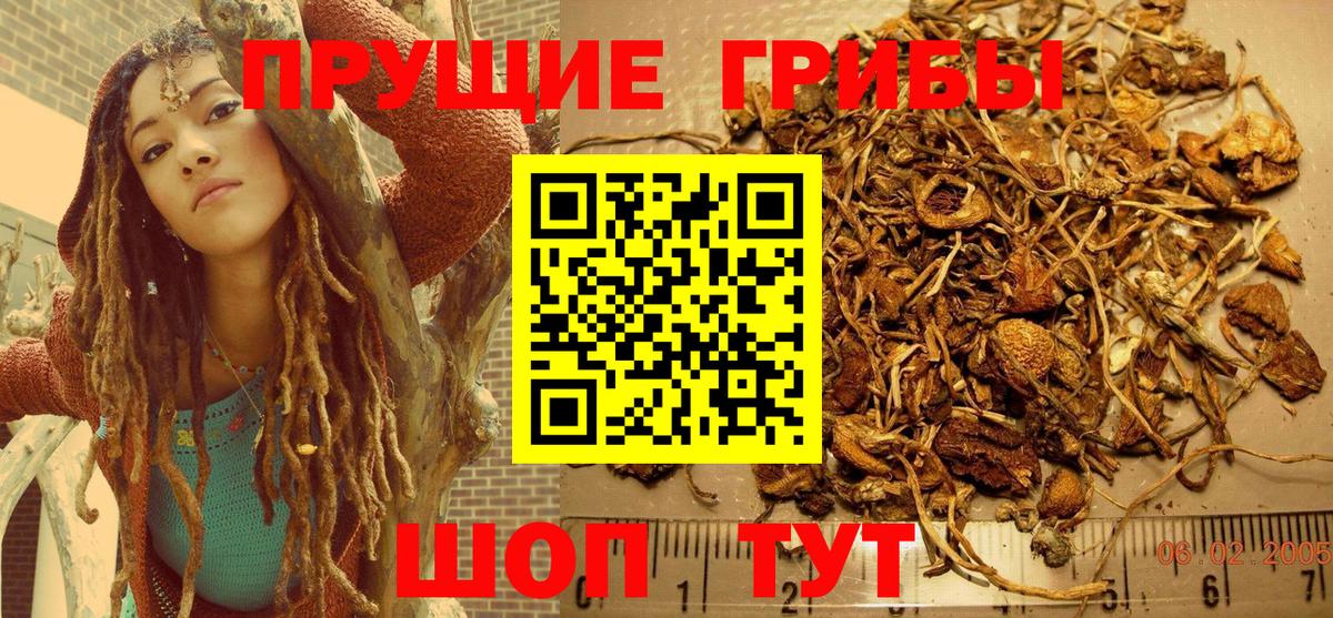 Псилоцибиновые грибы GOLDEN TEACHER  Вход с VPN  Конаково 